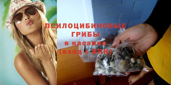 шишки Алексеевка