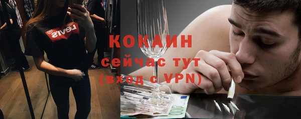 ешки Алексин