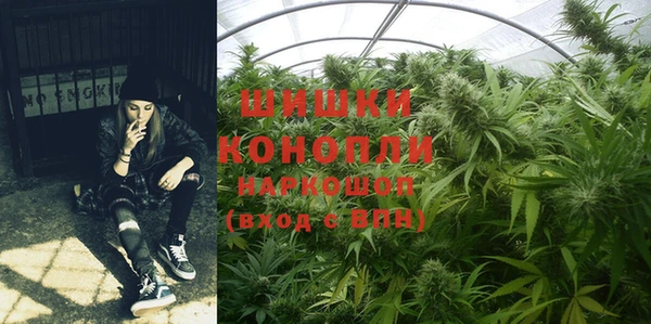 шишки Алексеевка