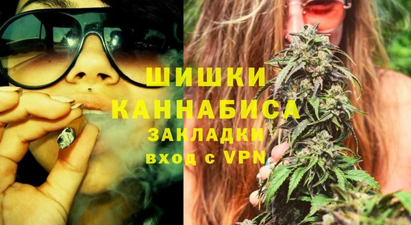 шишки Алексеевка