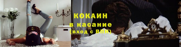 ешки Алексин