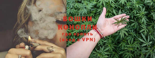 шишки Алексеевка