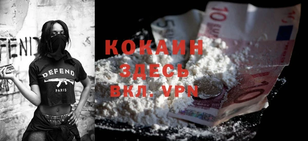 ешки Алексин
