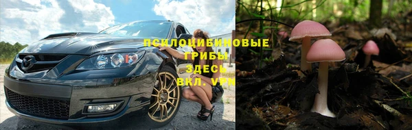 шишки Алексеевка