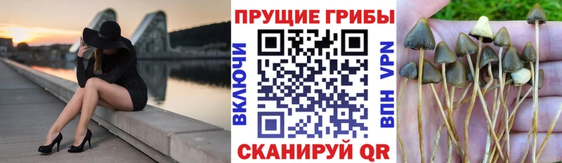 Псилоцибиновые грибы Magic Shrooms Красноуфимск